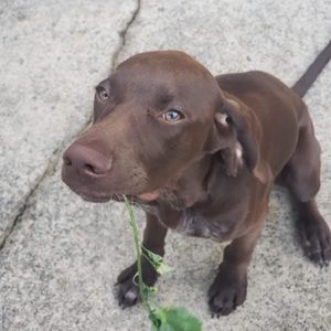 Meet your Posher, Gen